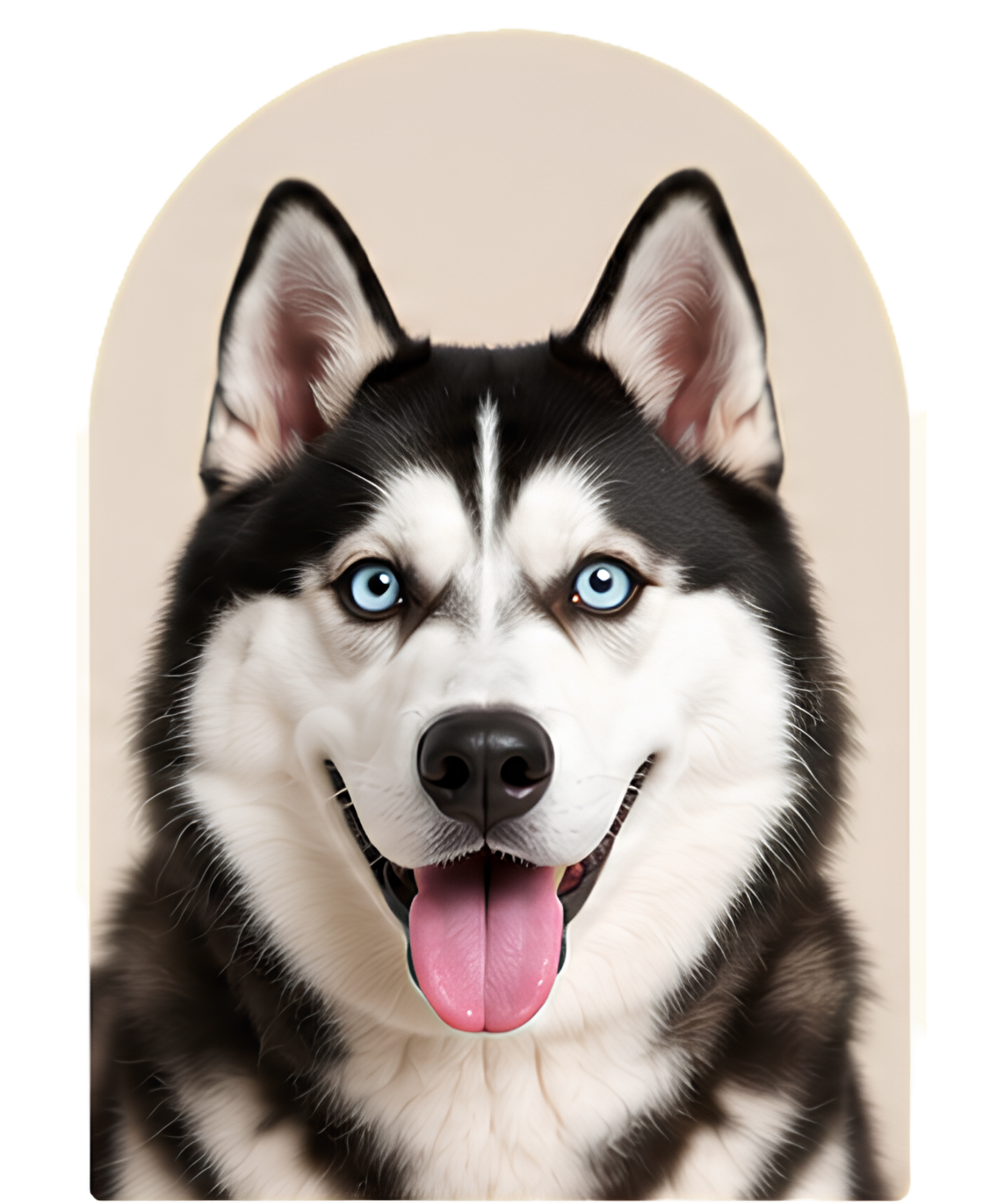 Siberian Husky