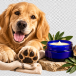 Tallow & Paws Signature Tallow Balm